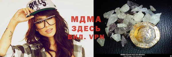 прущие грибы Верхний Тагил