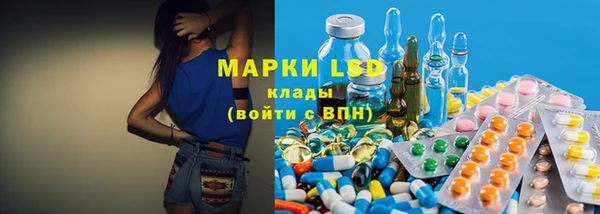 прущие грибы Верхний Тагил