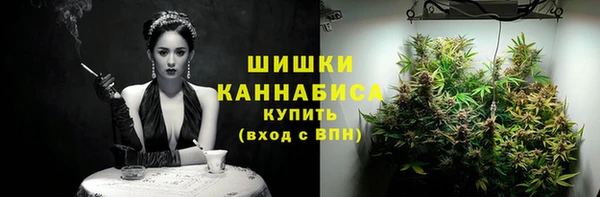 прущие грибы Верхний Тагил