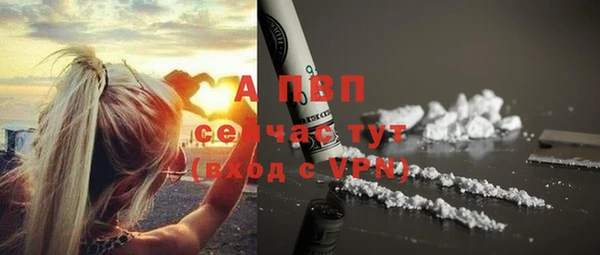 jwh Пересвет