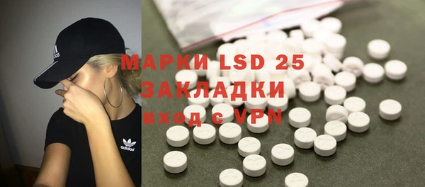 прущие грибы Верхний Тагил