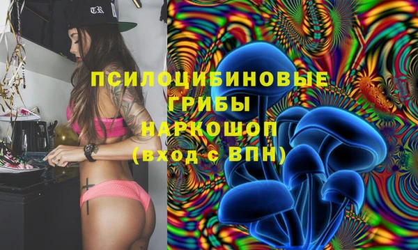 прущие грибы Верхний Тагил