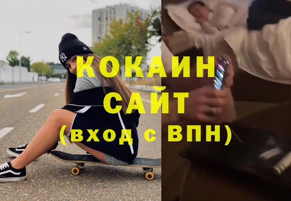 прущие грибы Верхний Тагил