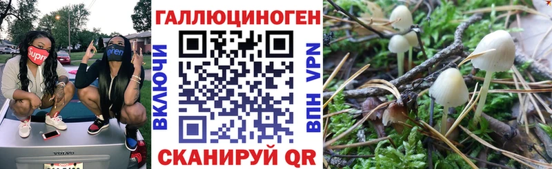 Псилоцибиновые грибы мухоморы  площадка телеграм  Коммунар 